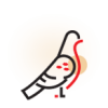 P